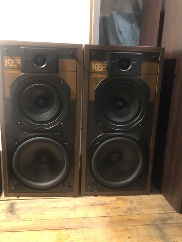 Kef cantor iii sp3029 - cantor,