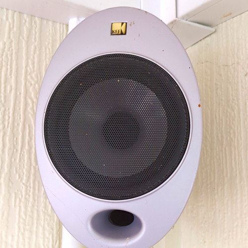 Kef egg oval satellite speaker - kef,